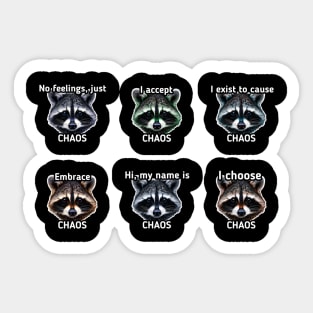 Chaos - Trash Panda Raccoon - Funny Saying Sticker